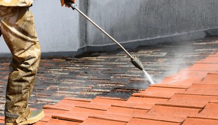 démoussage de toit sale